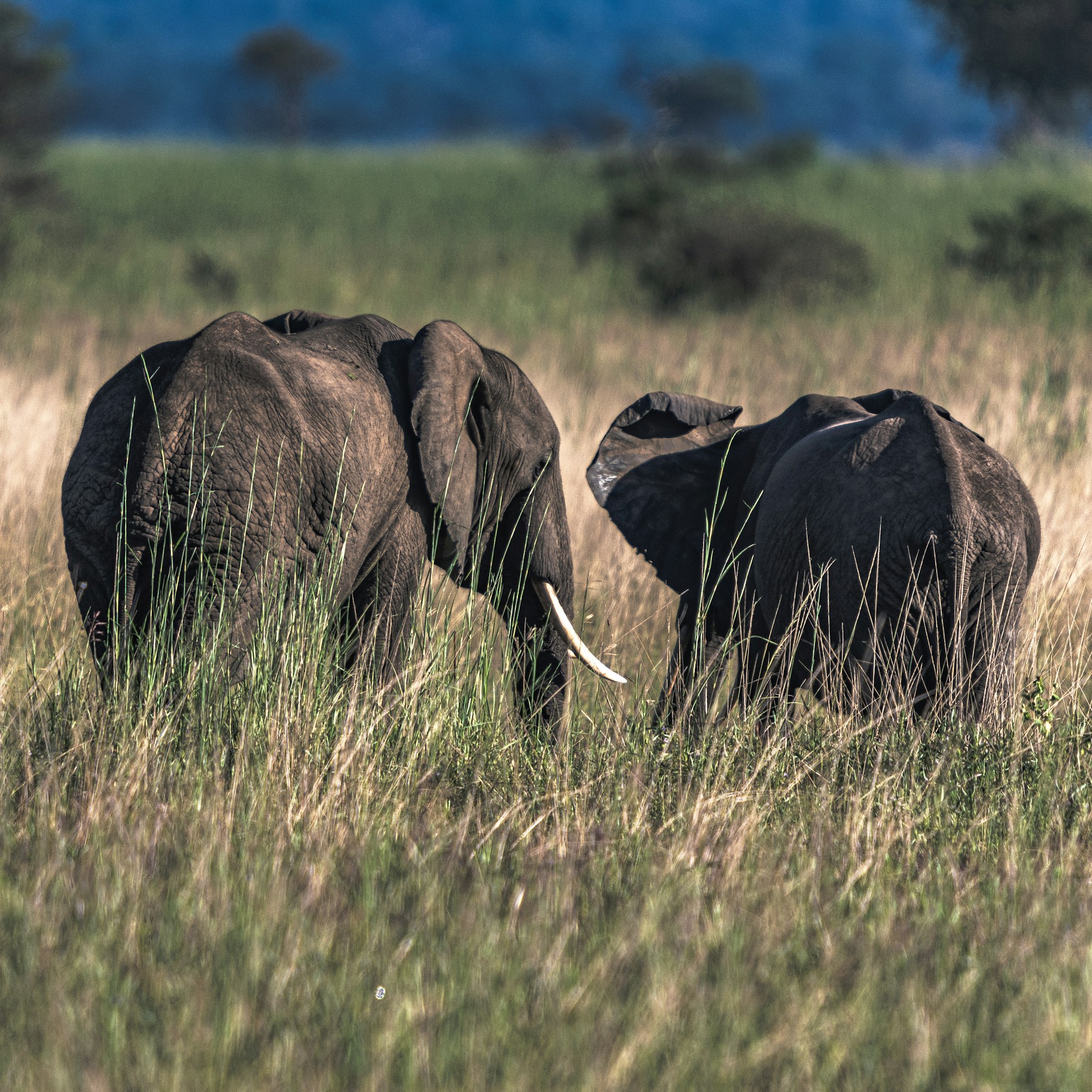 michael-starkie-4dfFyrW4DXU-unsplash