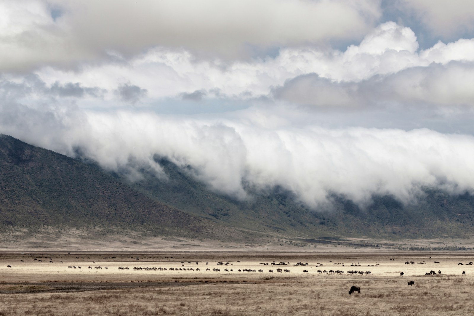 white clouds over green mountain