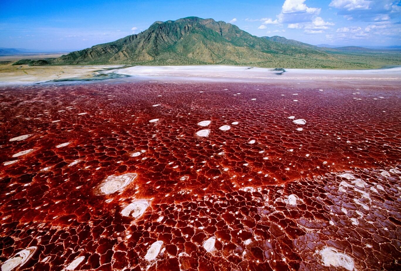 Lake-Natron1