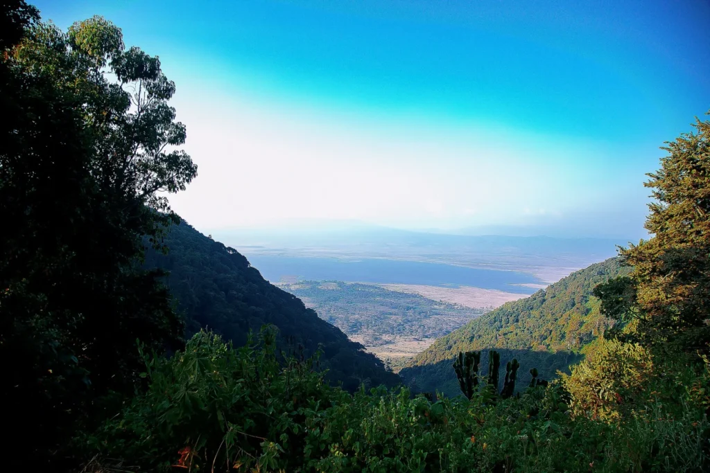 A view toward Ngorongoro Crater through wooded slopes
