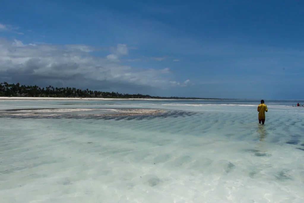 A person standing in shallow tidal water beside a Zanzibar beach