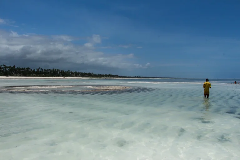 A person standing in shallow tidal water beside a Zanzibar beach